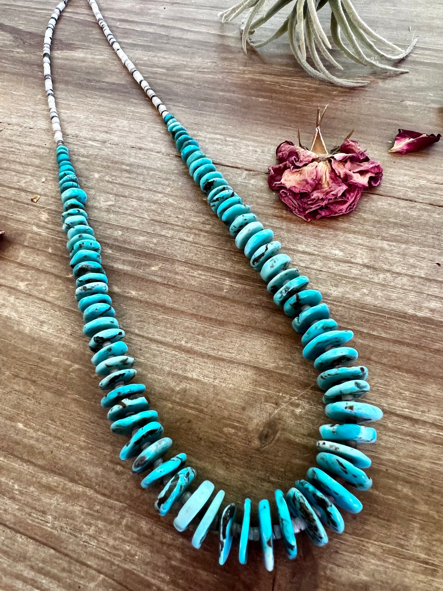 22 inch graduated turquoise light blue and shell