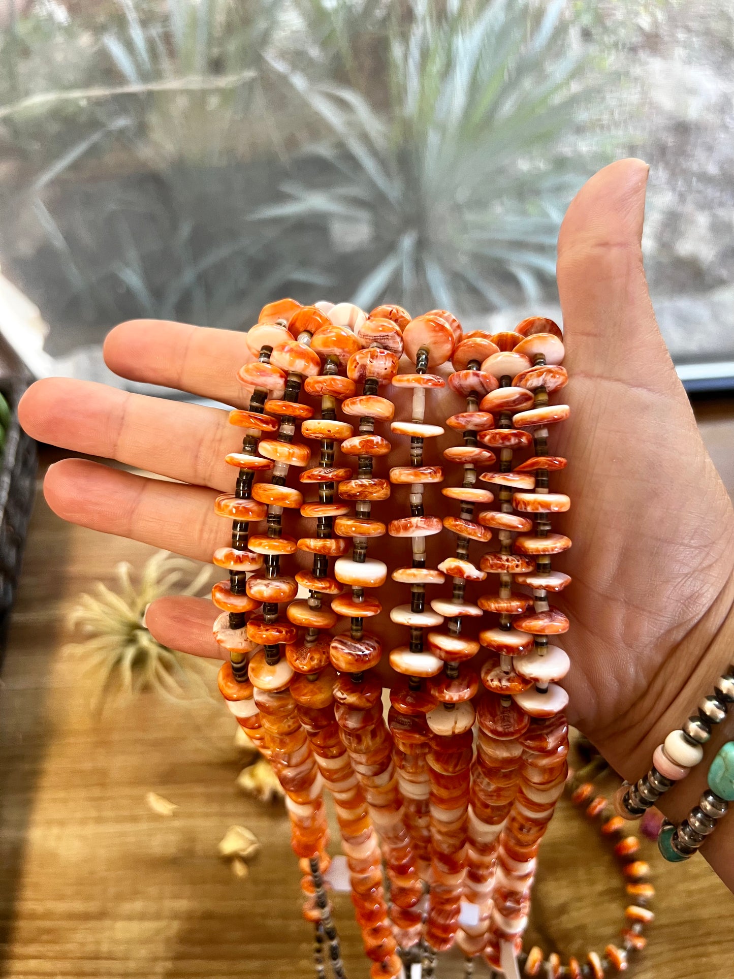 28 Inch spiny with turquoise & shell