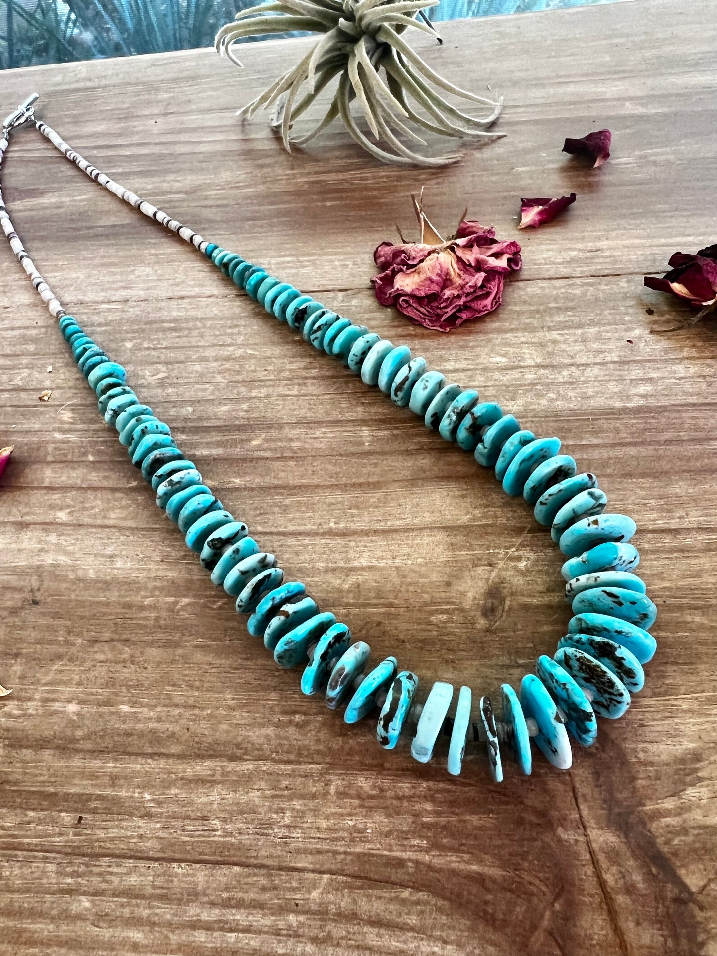 22 inch graduated turquoise light blue and shell