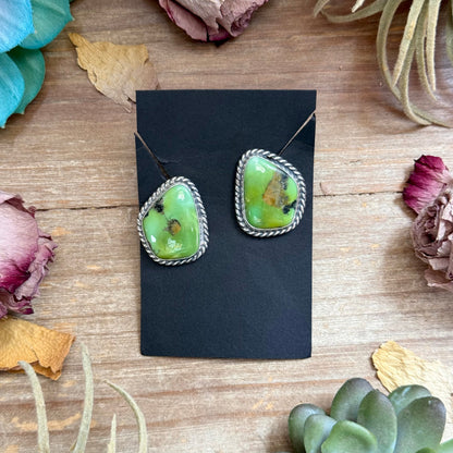 17 - Sterling Silver Sonoran Turquoise Stud Earrings by Jason Ogg