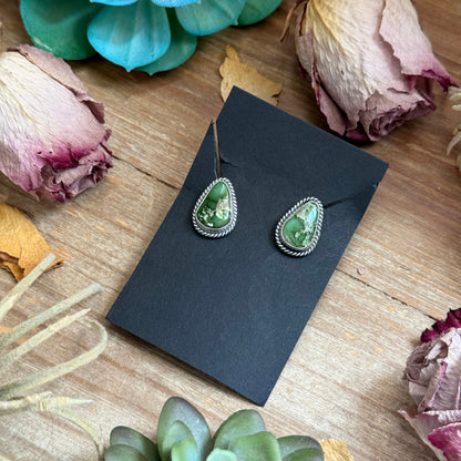 3 - Sterling Silver Sonoran Gold Turquoise Stud Earrings by Jason Ogg