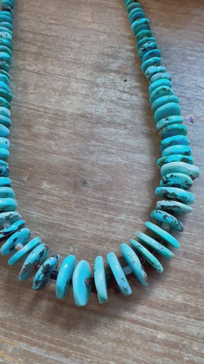 Shell & Turquoise Graduated Necklace – 23"