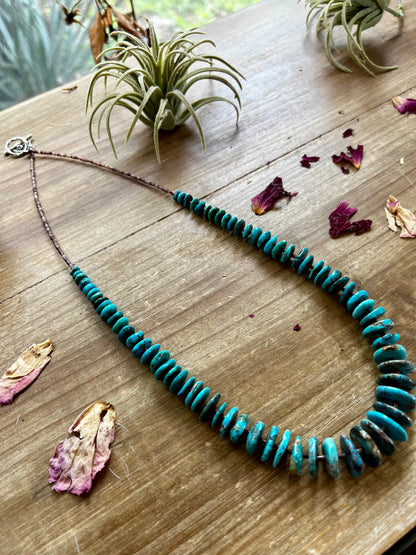 Graduated turquoise long necklace and shell 22 inch